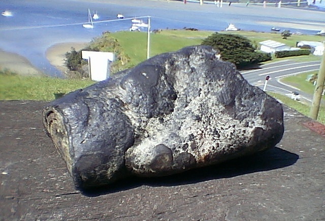 Ambergris We Buy And Sell Ambergris Buying Selling Ambergris